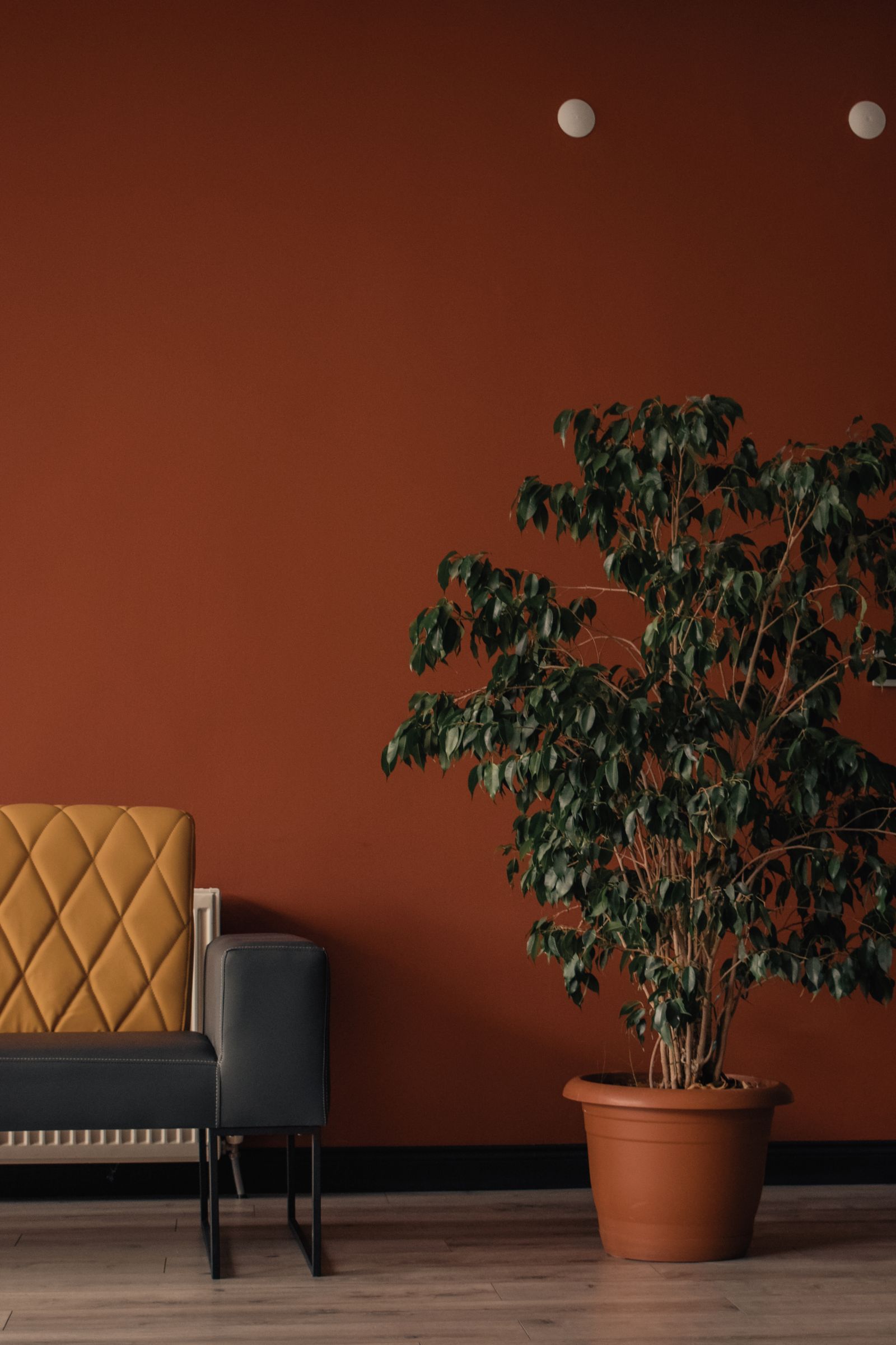 Sala cálida en tonos terracota con asiento y planta de interior